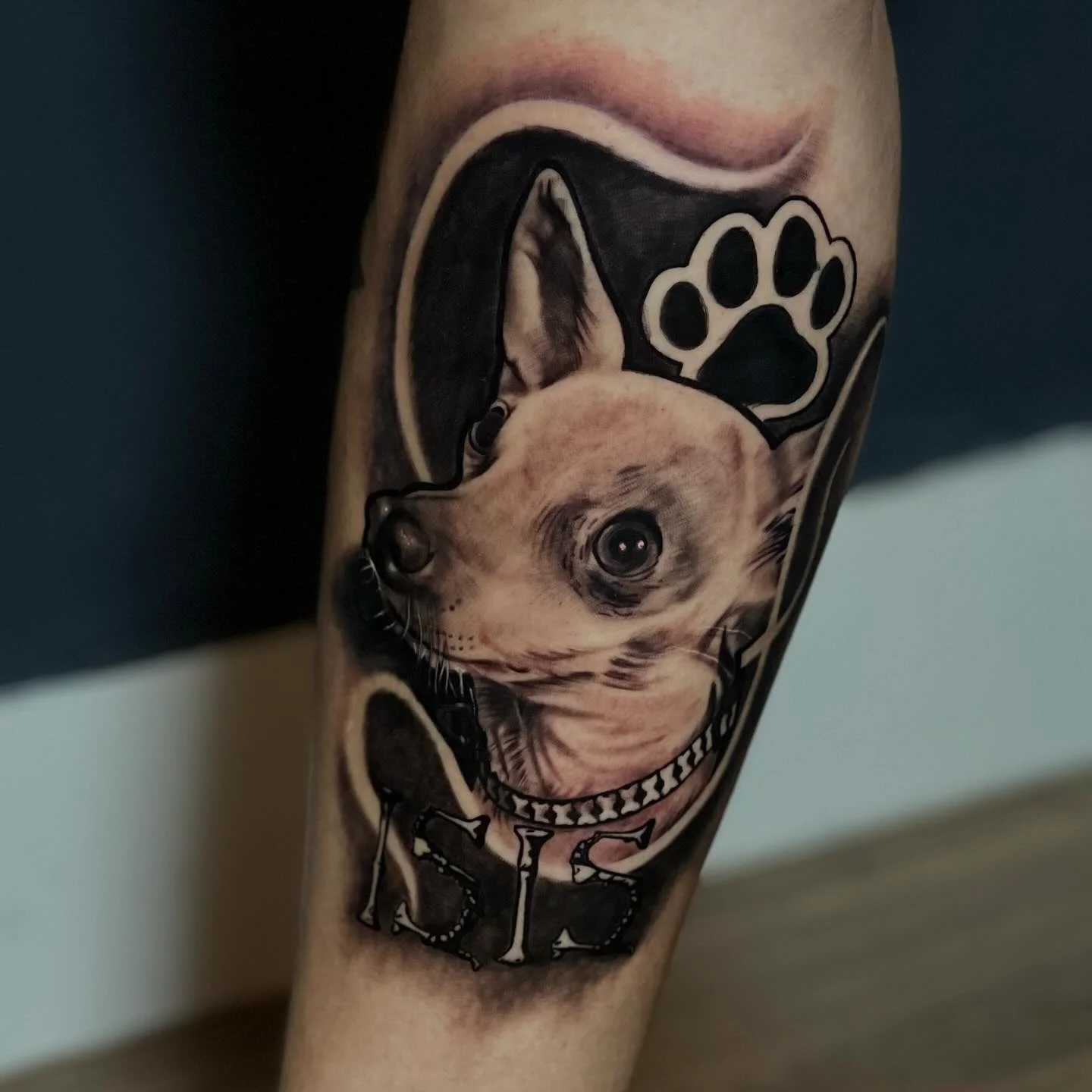 Retrato de mascota, trabajo de Gustavito